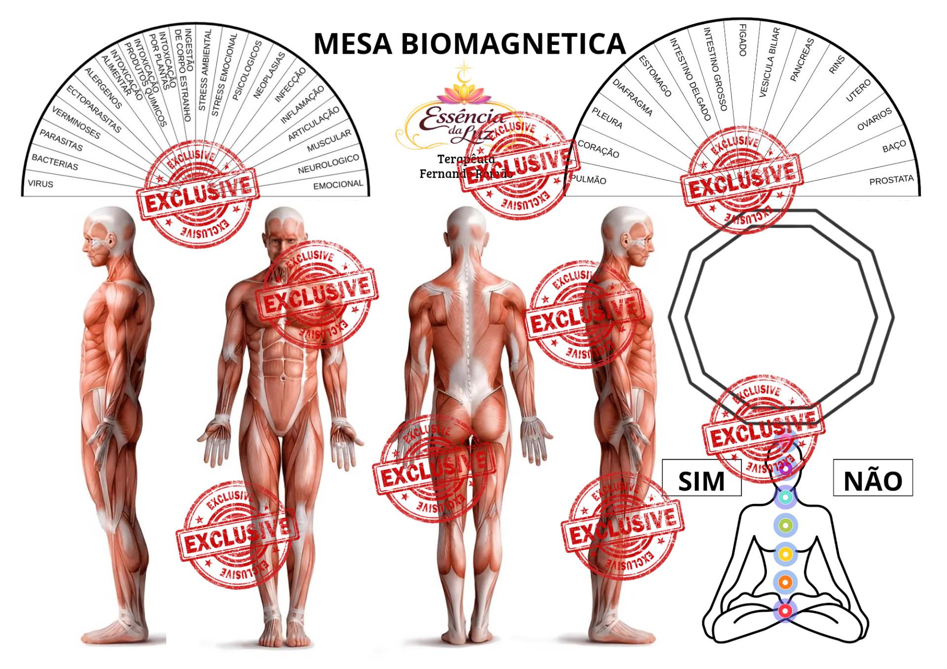 Mesa apometrica com mesa de apoio leituera + critais e pendulo e Formação